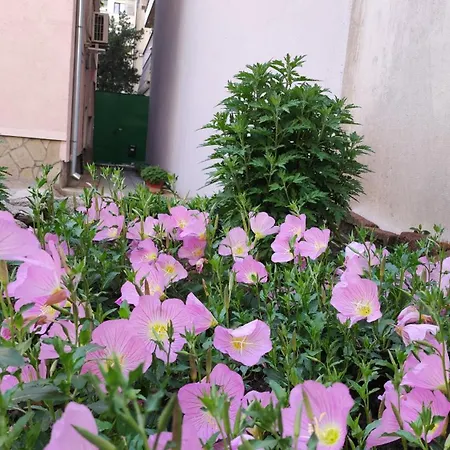 Апартаменты Markovo Tepe House & Garden Пловдив